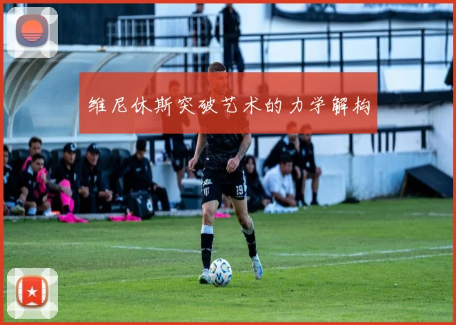 维尼休斯突破艺术的力学解构