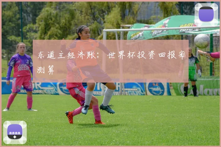 东道主经济账：世界杯投资回报率测算