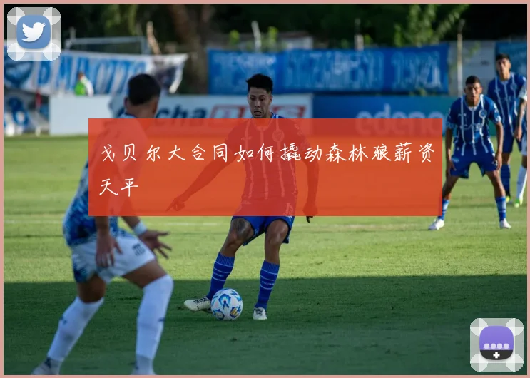 戈贝尔大合同如何撬动森林狼薪资天平