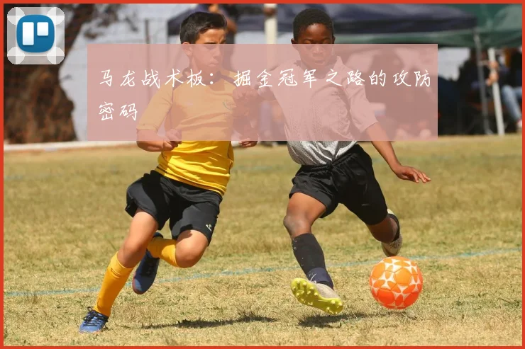 马龙战术板：掘金冠军之路的攻防密码