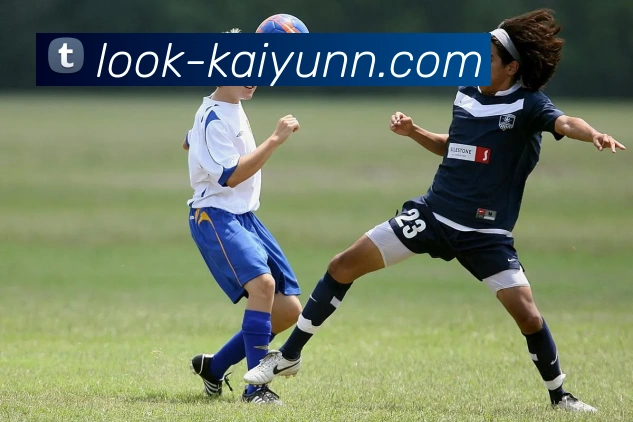 开云APP 高清赛事图